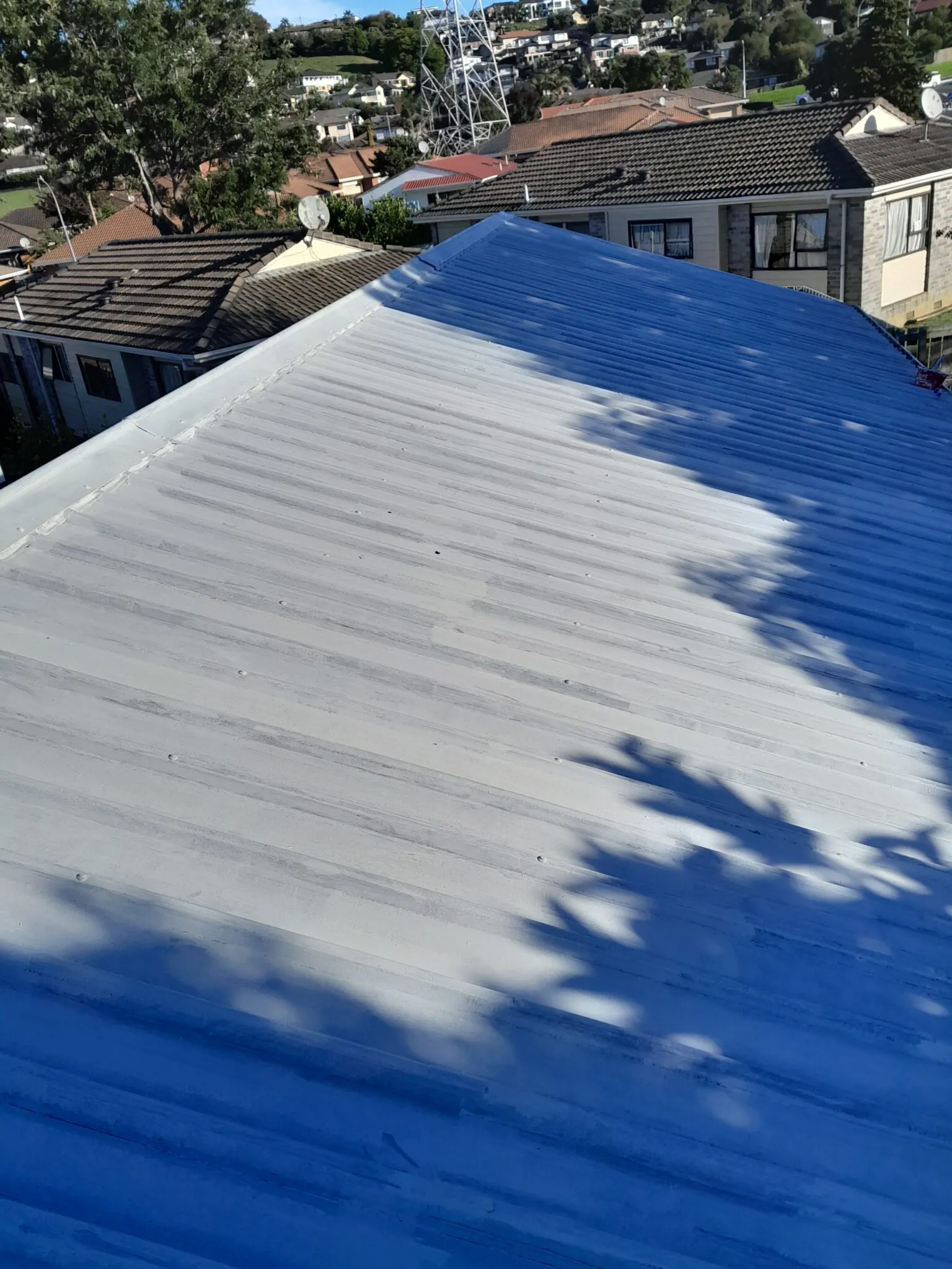 Roof Painting